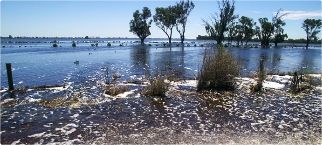 vic flood review